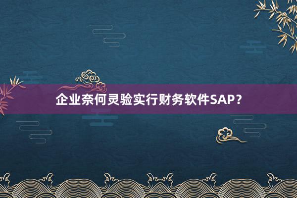 企业奈何灵验实行财务软件SAP？