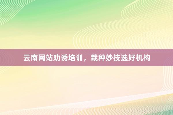 云南网站劝诱培训，栽种妙技选好机构